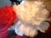 <img100*0:stuff/z/169023/Flowers%252041/i1263420958_15.jpg>