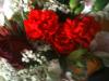 <img100*0:stuff/z/169023/Flowers%252041/i1263420958_20.jpg>