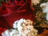 <img100*0:stuff/z/169023/Flowers%252041/i1263420958_25.jpg>