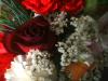 <img100*0:stuff/z/169023/Flowers%252041/i1263420958_26.jpg>