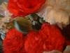 <img100*0:stuff/z/169023/Flowers%252041/i1263420958_9.jpg>
