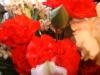 <img100*0:stuff/z/169023/Flowers%252041/i1263420959_30.jpg>