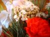 <img100*0:stuff/z/169023/Flowers%252041/i1263420959_33.jpg>