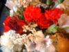 <img100*0:stuff/z/169023/Flowers%252041/i1263420959_38.jpg>