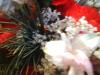 <img100*0:stuff/z/169023/Flowers%252041/i1263420959_40.jpg>