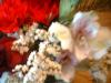 <img100*0:stuff/z/169023/Flowers%252041/i1263420959_41.jpg>