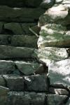 <img100*0:stuff/z/169023/Forest%2520Stairs.2/i1278950344_10.jpg>