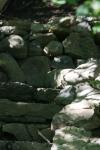 <img100*0:stuff/z/169023/Forest%2520Stairs.2/i1278950344_3.jpg>