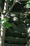 <img100*0:stuff/z/169023/Forest%2520Stairs.2/i1278950344_5.jpg>