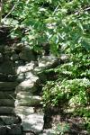 <img100*0:stuff/z/169023/Forest%2520Stairs.2/i1278950344_6.jpg>