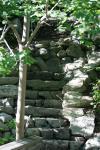 <img100*0:stuff/z/169023/Forest%2520Stairs.2/i1278950344_7.jpg>