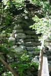 <img100*0:stuff/z/169023/Forest%2520Stairs/i1278950349_12.jpg>