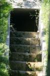 <img100*0:stuff/z/169023/Forest%2520Stairs/i1278950349_13.jpg>