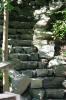 Forest Stairs