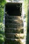 <img100*0:stuff/z/169023/Forest%2520Stairs/i1278950349_18.jpg>