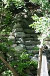 <img100*0:stuff/z/169023/Forest%2520Stairs/i1278950349_2.jpg>