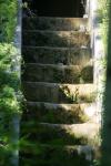 <img100*0:stuff/z/169023/Forest%2520Stairs/i1278950349_23.jpg>