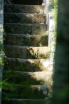 <img100*0:stuff/z/169023/Forest%2520Stairs/i1278950349_28.jpg>