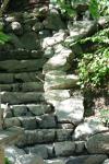 <img100*0:stuff/z/169023/Forest%2520Stairs/i1278950349_30.jpg>