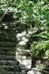 <img100*0:stuff/z/169023/Forest%2520Stairs/i1278950349_31.jpg>