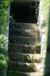 <img100*0:stuff/z/169023/Forest%2520Stairs/i1278950349_33.jpg>