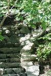 <img100*0:stuff/z/169023/Forest%2520Stairs/i1278950349_6.jpg>
