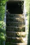 <img100*0:stuff/z/169023/Forest%2520Stairs/i1278950349_8.jpg>