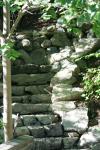 <img100*0:stuff/z/169023/Forest%2520Stairs/i1278950350_35.jpg>
