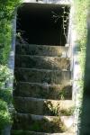 <img100*0:stuff/z/169023/Forest%2520Stairs/i1278950350_38.jpg>