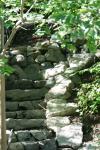 <img100*0:stuff/z/169023/Forest%2520Stairs/i1278950350_40.jpg>
