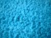 <img100*0:stuff/z/169023/Fuzzy%2520Blue%252023/i1258919026_1.jpg>