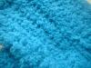 <img100*0:stuff/z/169023/Fuzzy%2520Blue%252023/i1258919027_10.jpg>