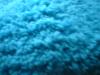 <img100*0:stuff/z/169023/Fuzzy%2520Blue%252023/i1258919027_13.jpg>