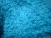 <img100*0:stuff/z/169023/Fuzzy%2520Blue%252023/i1258919027_7.jpg>