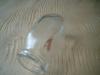 <img100*0:stuff/z/169023/Glass%2520Bottles%25202/i1263429735_38.jpg>