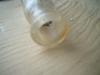 <img100*0:stuff/z/169023/Glass%2520Bottles/i1263429726_10.jpg>