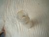<img100*0:stuff/z/169023/Glass%2520Bottles/i1263429726_14.jpg>