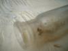 <img100*0:stuff/z/169023/Glass%2520Bottles/i1263429727_40.jpg>