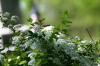 <img100*0:stuff/z/169023/Graveyard%2520IIII/i1277158606_1.jpg>