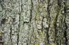 <img100*0:stuff/z/169023/Graveyard%2520IIII/i1277158606_5.jpg>