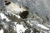 <img100*0:stuff/z/169023/Graveyard%2520IIII/i1277158606_6.jpg>