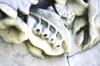 <img100*0:stuff/z/169023/Graveyard%2520IIII/i1277158606_7.jpg>