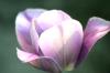 <img100*0:stuff/z/169023/Graveyard%2520IIII/i1277158606_8.jpg>