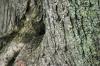 <img100*0:stuff/z/169023/Graveyard%2520IIII/i1277158607_11.jpg>