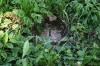 <img100*0:stuff/z/169023/Graveyard%2520IIII/i1277158607_14.jpg>