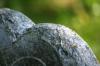 <img100*0:stuff/z/169023/Graveyard%2520IIII/i1277158607_15.jpg>
