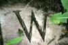 <img100*0:stuff/z/169023/Graveyard%2520IIII/i1277158607_20.jpg>
