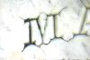 <img100*0:stuff/z/169023/Graveyard%2520IIII/i1277158608_25.jpg>