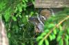 <img100*0:stuff/z/169023/Graveyard%2520IIII/i1277158609_40.jpg>