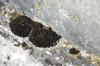 <img100*0:stuff/z/169023/Graveyard%2520IIII/i1277158609_41.jpg>